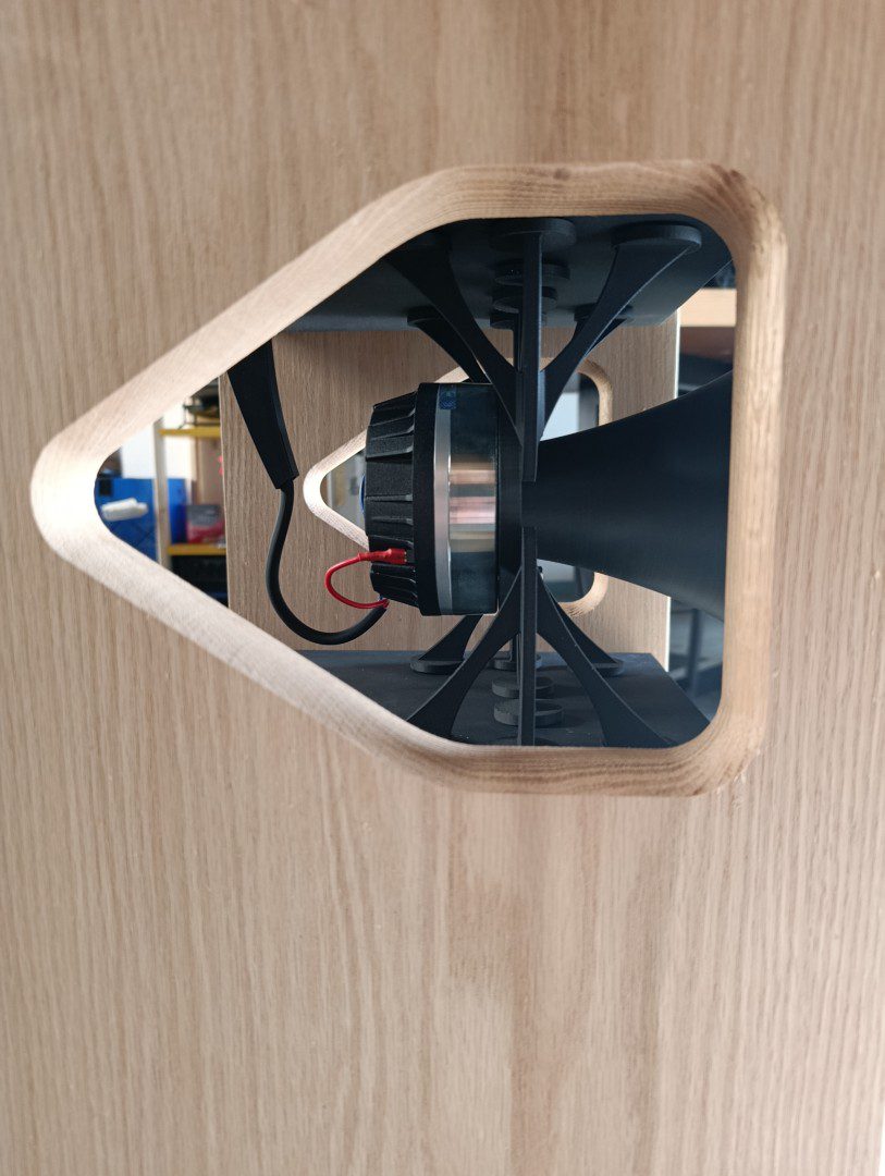 Dettaglio Pungiglione